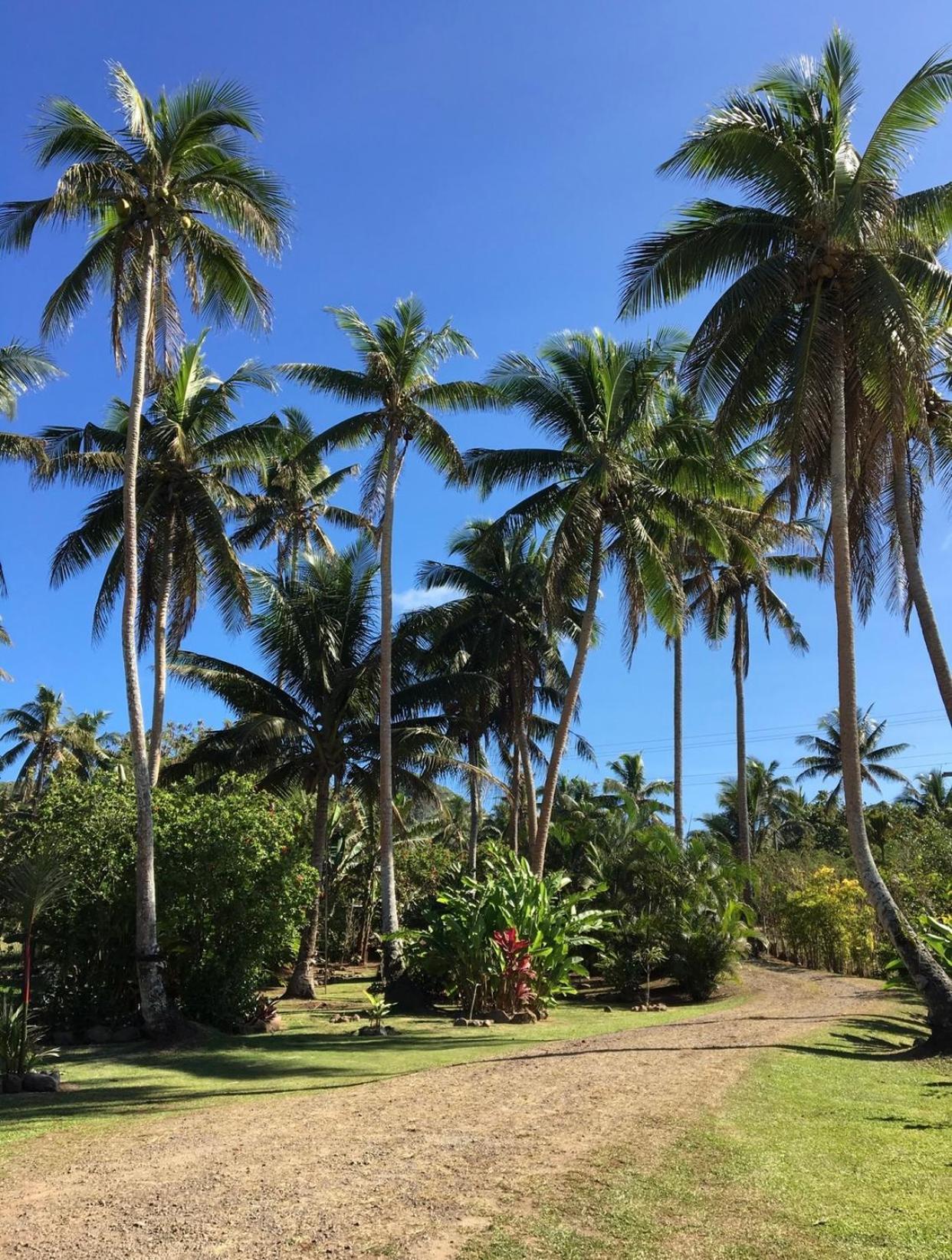 Island Breeze Fiji Villa Savusavu Room photo
